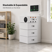 Batterie de stockage d'énergie domestique LiFePO4 48V 100Ah 4,8kWh, empilable, montage mural, système solaire hors réseau, BMS intelligent, Bluetooth, OEM ODM