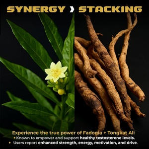 Cápsulas de Tongkat Ali y Fadogia Agrestis que Apoyan y Mejoran la Fuerza y la Resistencia, Suplemento de Tongkat Ali y Fadogia Agrestis - Product Image 3
