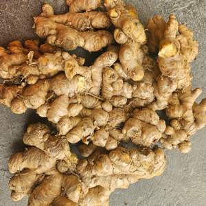 Jengibre amarillo brillante de Vietnam para té de cocina de estilo indio y uso tradicional - Product Image 5