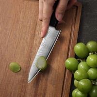 PAUDIN 67 couches d'acier japonais de coupe de fruits légumes épluchage avec bois d'ébène noir + manche en corne de buffle