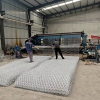 Maille de torsion triple galvanisée d'immersion chaude fabrication de fil d'acier 1 "x 1" maille soudée par volaille d'armure de sergé trous hexagonaux maille de Gabion
