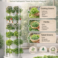 Système de culture hydroponique et aéroponique vertical à 11 niveaux, arrosage automatique, serre intérieure pour plantes