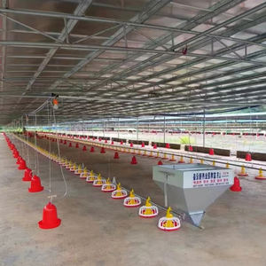 Ligne d'alimentation entièrement automatique pour l'élevage <span class=keywords><strong>de</strong></span> volailles, hangar à <span class=keywords><strong>poulet</strong></span>/équipement <span class=keywords><strong>de</strong></span> maison pour poulets <span class=keywords><strong>de</strong></span> <span class=keywords><strong>chair</strong></span>/<span class=keywords><strong>race</strong></span>/<span class=keywords><strong>poulet</strong></span> oiseau - Product Image 6