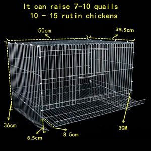 Jaulas Automáticas para Codornices para la Producción <span class=keywords><strong>de</strong></span> Huevos, <span class=keywords><strong>Jaula</strong></span> para la Puesta <span class=keywords><strong>de</strong></span> Huevos <span class=keywords><strong>de</strong></span> <span class=keywords><strong>Codorniz</strong></span> - Product Image 4