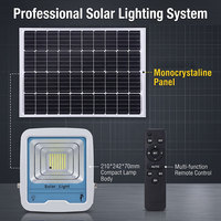 Projecteur solaire LED extérieur de haute qualité 100W IP67 étanche, pour jardin, haute efficacité, économie d'énergie, en aluminium, télécommande, dimmable