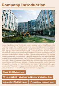 Extracto <span class=keywords><strong>de</strong></span> Polygonatum para Apoyo Energético e Inmunitario, Nutre los Riñones y Repone los Fluidos Corporales, Tónico Herbal Diario para Hombres y Mujeres - Product Image 4