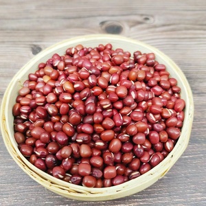 Fagioli Adzuki rossi di origine cinese (Vigna Angularis, fagioli verdi rossi) fagioli Azuki - Product Image 4