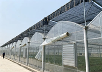 Serre multi-travées en acier galvanisé à chaud, vente directe usine, meilleur prix, qualité supérieure, serre personnalisée pour légumes