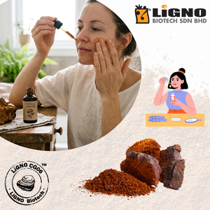 ผงสารสกัดจากพฤกษชาติ Chaga LiGNO CG06 สำหรับผลิตภัณฑ์ดูแลผิว ช่วยเสริมสร้างเกราะป้องกันผิว ได้รับการรับรองฮาลาลและโคเชอร์  วัตถุดิบสำหรับ OEM ODM - Product Image 1