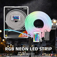 Bande lumineuse LED néon RGB 12V, ruban néon flexible avec télécommande 24 touches, kit en blister pour la décoration publicitaire commerciale