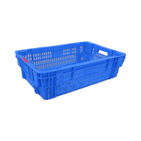 Conteneur de stockage en plastique, panier à pain, panier à tomates, stockage logistique, stockage écologique, durable, léger, caisse blanche