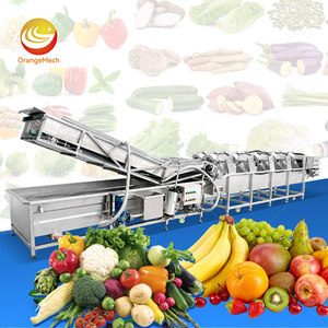 Chaîne de lavage et de tri de fruits ORME à bulles d'air pour fraises, mangues, abricots, figues et tomates - Product Image 1