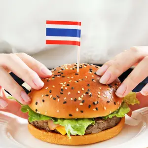 Custom Branded Toothpick Flag Cupcake Burger Toothpick National Flag Bamboo Wood Toothpicks Country Flags For Festival Party