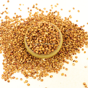 KAOLIANG collant gluant de haute qualité, ginseng rouge chinois - Product Image 3