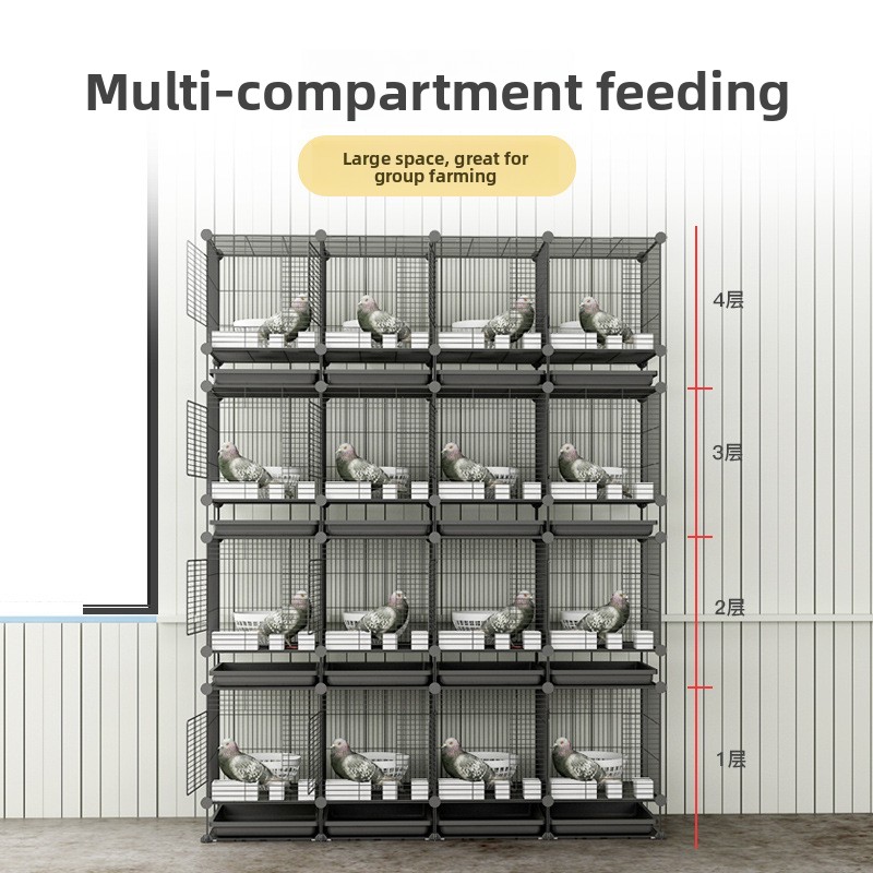 loft for my pigeon kit