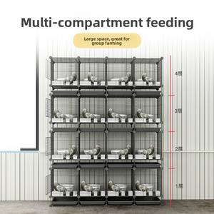 Extra Grote Outdoor Duivenhuis Solide Metalen Fokkooi Knoopsluiting Voor Postduiven Pairing Vlees Duiven Fokken - Product Image 2