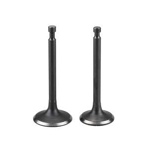 Pièces de soupapes de moteur à essence 152F168/170F188/190F pour micro-cultivateur, générateur, pompe à eau, soupapes d'admission et d'échappement - Product Image 1