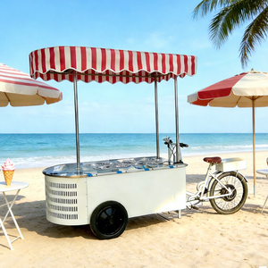 Chariots à pousser électriques en fibre de verre personnalisés, chariot à glace, chariot alimentaire mobile avec parasol - Product Image 1