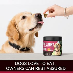 Suplemento de Colágeno Múltiple en Tabletas Masticables para Perros, Marca Privada OEM/ODM, Apoyo de Colágeno para la Salud de las Articulaciones y la Piel - Product Image 4