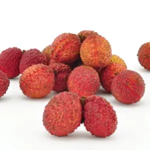 Premium Exporters Seedless Lychee Agriculture Products Lychee Bulk New Crop China Top Grade Fresh Fruit Lychee