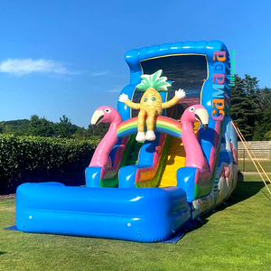Structure gonflable commerciale d'extérieur à thème flamant rose et ananas, avec toboggan aquatique et piscine pour enfants et adultes - Product Image 3