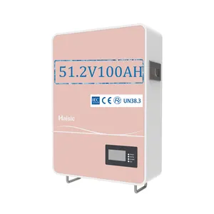 51.2V 48V 100Ah LiFePO4 Powerwall 5KW Lithium Ion Battery for Solar Hybrid Compatible with Three Phase Inverter