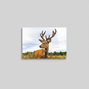 Impression sur toile élégante avec motif de cerf : Décoration de mariage moderne, Art sur verre trempé - Product Image 2