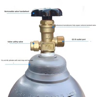Cilindro de Dióxido de Carbono Industrial de Precisión de 8L con Asa, Ideal para Soldadura con Protección