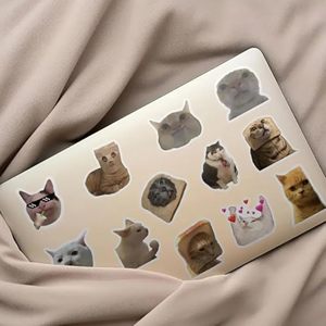 Autocollants <span class=keywords><strong>chat</strong></span> drôle <span class=keywords><strong>chat</strong></span> Kawaii autocollants imperméables en vinyle pour ordinateur portable téléphone guitare bouteilles d'eau bagages autocollants en vinyle pour adultes - Product Image 6