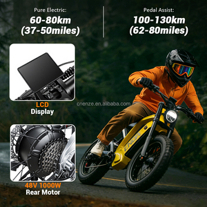 Bicicleta Eléctrica Rápida para Adultos de 45 km/h, 20*4.0, con Frenos de Disco Hidráulicos, Señales de Giro, Cuadro de Aluminio, Neumáticos Anchos, Modelo YD-TDM-11, Varias Versiones 48V/21Ah/10 - Product Image 1