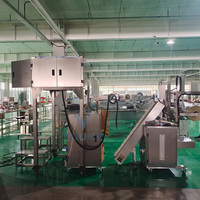Machine d'emballage et de remplissage automatique multifonctionnelle pour sachets de thé triangulaires en plastique, à économie d'énergie