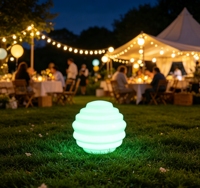 Lanterna LED a Nido d'Ape Multicolore Ricaricabile Impermeabile con Telecomando IP65 per Esterni Matrimoni Capodanno