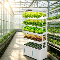 Systèmes de culture hydroponique intelligents à faible coût pour l'intérieur, agriculture verticale intelligente, culture hydroponique à domicile