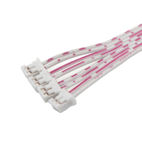 Kabel Harness Terminal PH2.0 OEM Kustom Merah Putih 2 4 6 8 Pin Kabel Pita Listrik Produksi Pabrik ODM