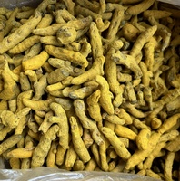 Fournisseur en gros de curcuma longa naturel, curcuma jaune entier séché en vrac