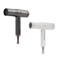 Sèche-cheveux professionnel 1800W Super Ionique avec lumières LED, concentrateur, chauffage rapide, moteur sans balais haute vitesse, en plastique