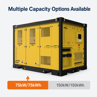 Générateur Statique Hybride SCU GRES 75 50 II 76,8 kWh LFP + Chargeur EV 30 kW pour Stations Éloignées