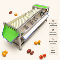 Machine de tri automatique pour oignons, mangostains, avocats, dattes, myrtilles, machine de calibrage automatique pour fruits et légumes, trieuse de tomates
