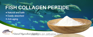 Polvere di Peptidi di Collagene di Pesce 500-1000Da - Inodore, 100% Idrosolubile per Uso Alimentare e Cosmetico - Product Image 6