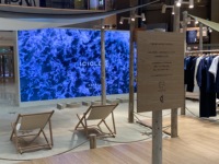 Atemid P2.604 Pantalla de alquiler LED para interiores de publicidad HD a todo color con módulos de panel de visualización de alquiler de alta frecuencia de actualización de paso fino