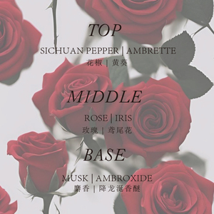 Parfum BEAUT LOVER, Cologne pour homme, senteur boisée florale mystérieuse, rose irisée, pour la nuit, 30 ml - Product Image 6