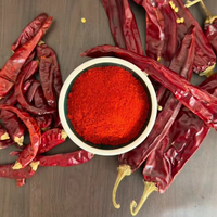Poudre de Capsicum en Gros pour la Fabrication Alimentaire et la Production d'Assaisonnements