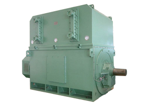 มอเตอร์ไฟฟ้ากระแสสลับแรงดันสูง ซีรีส์ Y2 (3KV 6KV 10KV) กำลังไฟ 100 กิโลวัตต์ 250 กิโลวัตต์ 450 กิโลวัตต์ 500 กิโลวัตต์ - Product Image 4