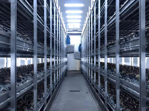 Équipement d'élevage de champignons de culture en serre, étagères de culture multicouches en aluminium - Product Image 1