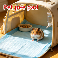 Tapis d'apprentissage pour chiots super absorbants et anti-fuites, fabriqués par une usine OEM professionnelle, avec contenu personnalisé, en gros