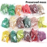 Tapis de mousse synthétique mat ultra-fin multicolore à l'échelle HO et N, pour miniatures, bonsaïs, dioramas architecturaux, matériel de bricolage