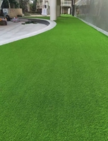 Gazon artificiel pour animaux de compagnie, fil doux protégeant les pattes des animaux, drainage rapide, pelouse pour chenil intérieur, résistant aux bactéries