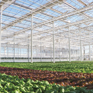 Invernadero Agrícola Multi-Span con Cubierta de Vidrio Grande, Ventilación de Alta Eficiencia, Estructura para Cultivo Hidropónico - Product Image 4