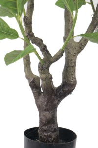 Arbre de gardénia artificiel de 1,85 m en direct d'usine - Plante artificielle en tige PE pour la décoration multi-scènes - Product Image 3