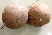 Machine à peler la peau de noix de coco brune, machine à peler la coque de noix de coco, machine à peler la coprah de noix de coco